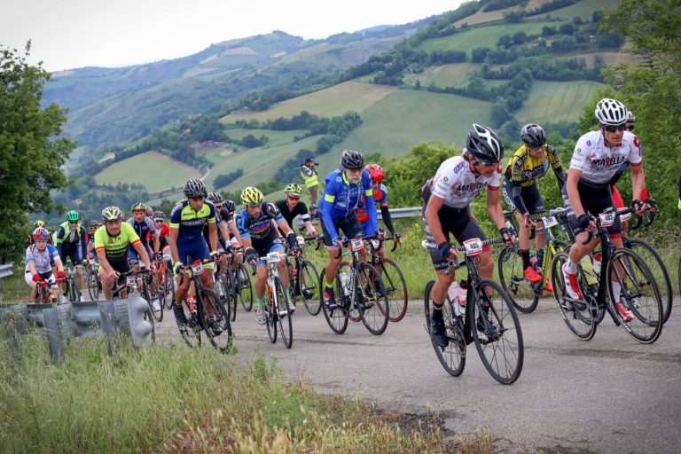 meccanico biciclette a colognola ai colli